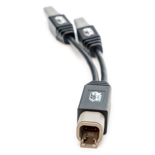 Link CANTEE - Link CAN Splitter Cable - Premium  from WinWithDom INC. - DomTuned - Just $47! Shop now at WinWithDom INC. - DomTuned