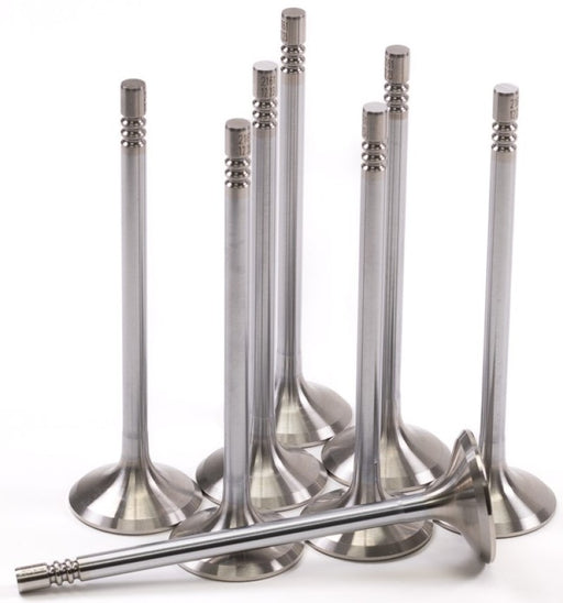 GSC P-D Ford Mustang 5.0L Coyote Gen 3 32mm Head (STD) Chrome Polished Exhaust Valve - Set of 8 - Premium Valves from GSC Power Division - Just $198.70! Shop now at WinWithDom INC. - DomTuned