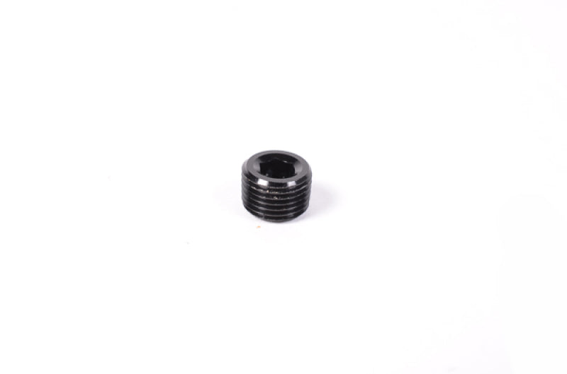 Radium Engineering 1/8in NPT Plug - Premium Fittings from Radium Engineering - Just $4.70! Shop now at WinWithDom INC. - DomTuned