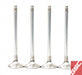 GSC P-D Honda B-Series B16A/B17A/B18C Chrome Alloy Exhaust Valve 28mm Head - 6mm Stem - Set of 8 - Premium Valves from GSC Power Division - Just $248.51! Shop now at WinWithDom INC. - DomTuned